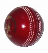 Image result for Playing Cricket Teen Anger