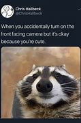 Image result for Crab Raccoon Meme