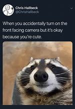 Image result for Racoon Payday Meme