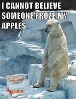 Image result for Zoo Animal Memes