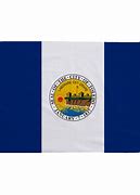 Image result for Toledo Ohio Flag