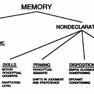 Image result for Declarative Memory Example