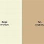 Image result for Sun Tan Paint Color
