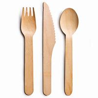 Image result for Disposable Utensils