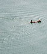 Image result for Glacier Bay Push Button Toilet