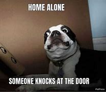 Image result for Dog Scared of the Phone Meme