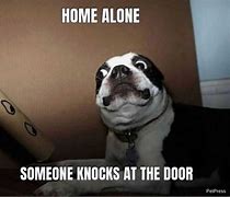 Image result for Scared Funny Dog Memes