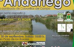 Image result for ald4aniego