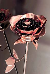 Image result for Rose Gold Aesthetic PFP