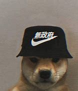 Image result for Doge PFP No Hat