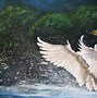 Image result for Swan Painting