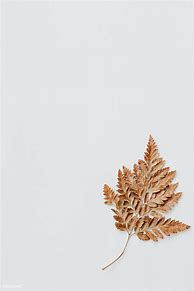 Image result for Phone Background Brown White