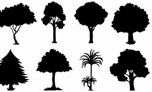 Image result for Tree Silhouette Vector