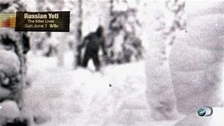 Image result for Russian Yeti