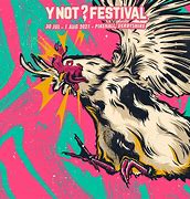 Image result for Y Not Festival Nathan Dawe