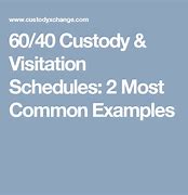 Image result for 60 40 Custody Plans