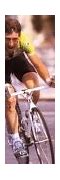 Image result for Sean Kelly Cyclist Pics