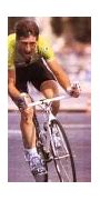 Image result for Sean Kelly Racing
