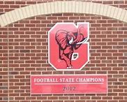 Image result for State Champion Home of Sign
