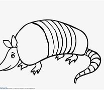 Image result for Armadillo Drawing Outline