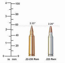 Image result for 22 250 vs 223 Rem