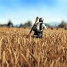 Image result for Pubg Funny