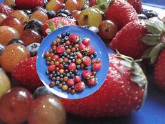 Image result for Fruit Selection