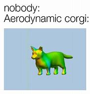 Image result for Aerodynamic Dog Meme