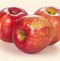 Image result for Small Fuji Apple