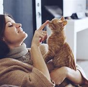 Image result for Crazy Cat Lady Stereotype