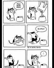 Image result for Funny Crazy Cat Pics