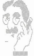 Image result for Beyonce ASCII Meme