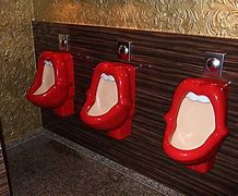 Image result for Fancy Toilet