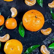 Image result for Fruit Trees Mandarin Orange