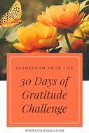 Image result for 30 Day Gratitude Challenge