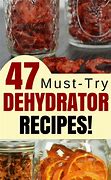 Image result for Food Dehydrator Recipes