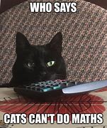 Image result for Math Cat Meme