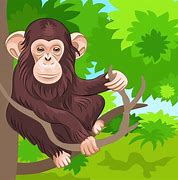 Image result for Capuchin Monkey Cartoon