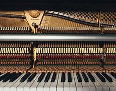 Image result for Piano String Instrument