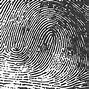 Image result for Con Centri Fingerprint