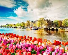 Image result for Visit Amsterdam