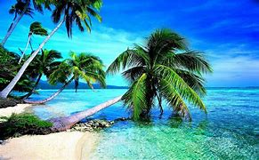 Image result for Beach Wallpaper HD Widescreen