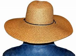 Image result for Sun Protection Straw Hats Men