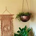 Image result for Overhead Wire Hanging Plant Holders