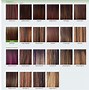 Image result for Noriko Wig Color Chart