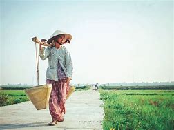 Image result for Người Việt Nam