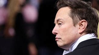 Image result for Elon Musk ESG