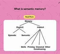 Image result for Personal Semantic Memory Definition