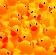 Image result for Assorted Rubber Duckies