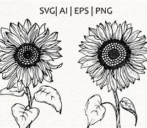 Image result for Stages of Sunflower Development